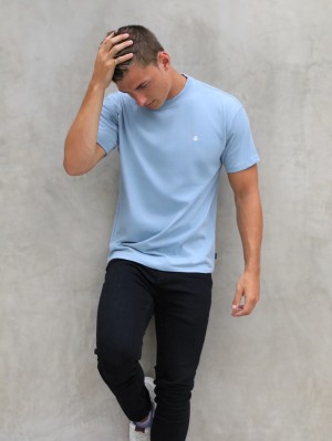 Blakely Anchor Relaxed T-Shirt Ice Blue | 506-EWUDMS