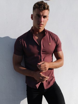 Blakely Brisbane Short Sleeve Shirt Burgundy | 348-BNJFGC