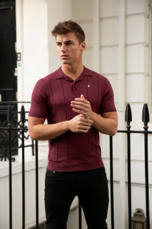 Blakely Finsbury Polo Shirt Burgundy | 251-RGPCBU