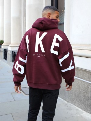 Blakely Idris Oversized Hoodie Burgundy | 980-WMPICH