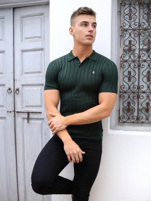 Blakely Sidi Textured Stripe Polo Green | 789-TDXBEA