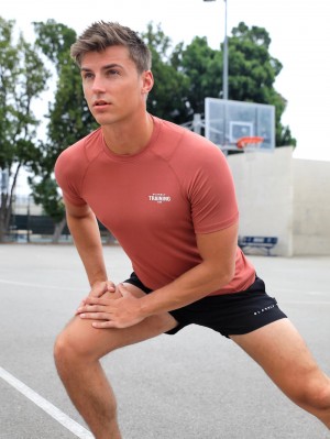 Blakely Slim Training T-Shirt Rust Red | 305-EDPRHI