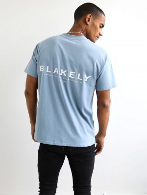 Blakely Statement Relaxed T-Shirt Ice Blue | 061-RNSWKQ