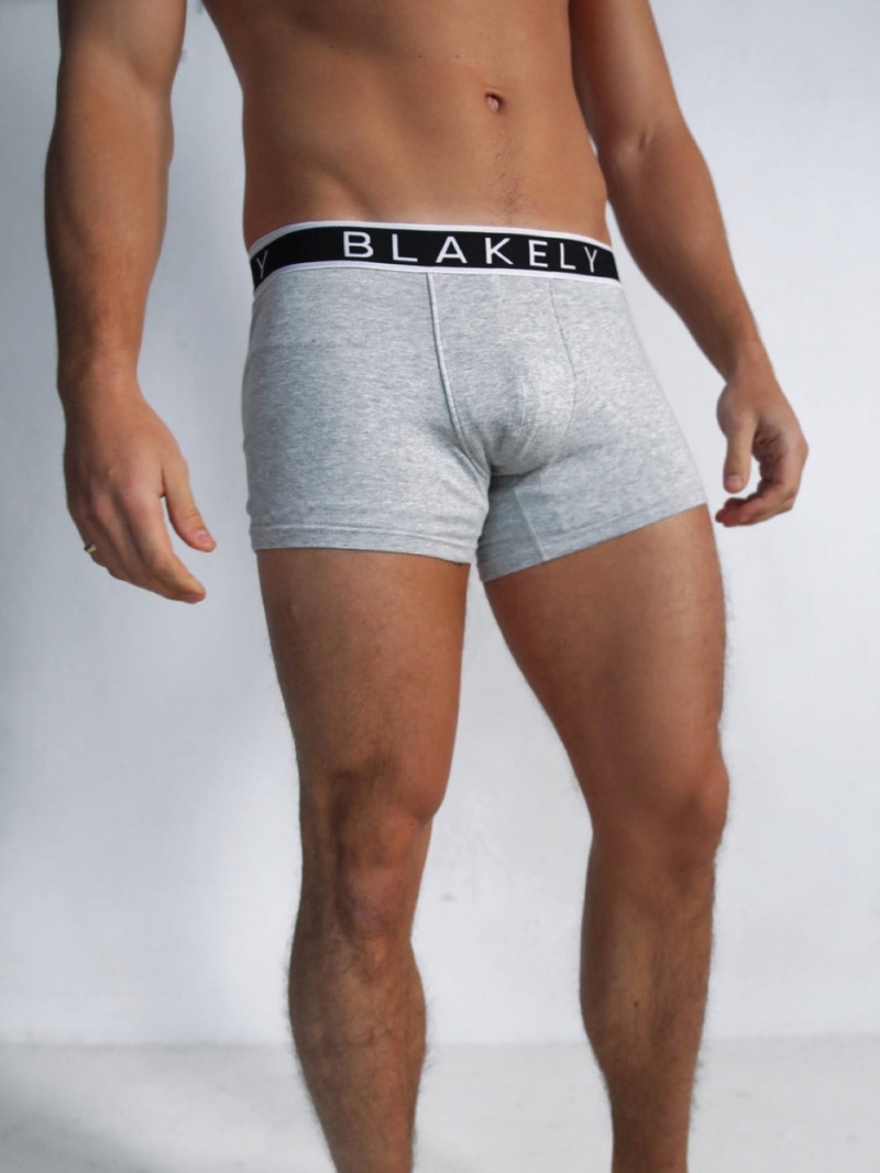 Blakely B2 | Boxers Grey 3 Pack | 687-WAZHUP