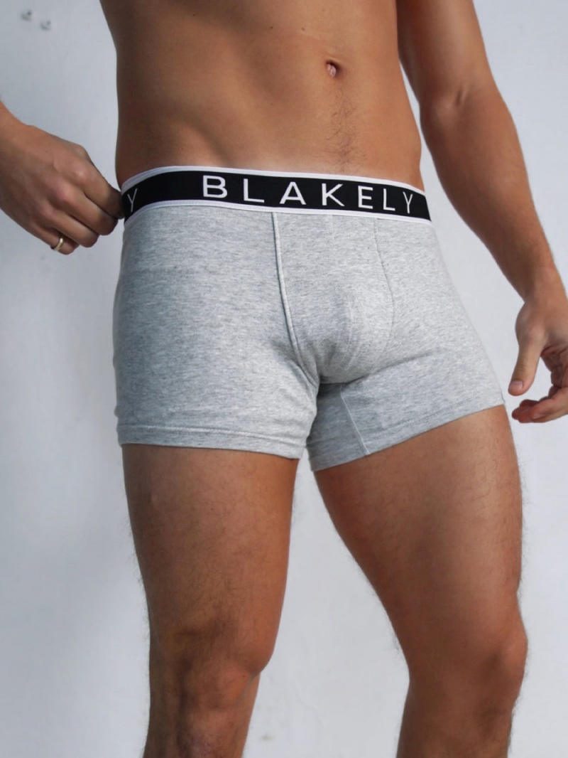 Blakely B2 | Boxers Grey 3 Pack | 687-WAZHUP