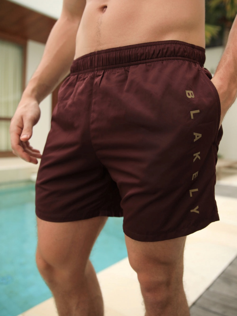 Blakely Lugano Swim Shorts Burgundy | 107-QFYVWZ